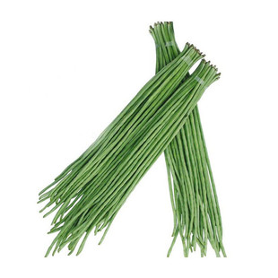 摘不败长豇豆种子长豆角爬藤架豆种籽早熟高产易种蔬菜种孑四季播