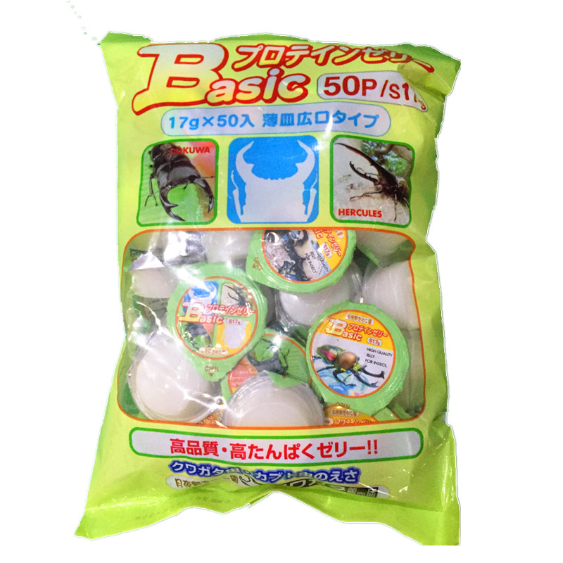甲虫昆虫果冻独角仙锹形虫成虫锹甲蚂蚁食物水果黑糖蛋白促销包邮