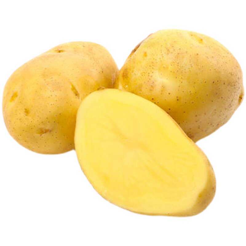 新鲜现挖现发定西沙面黄心土豆!