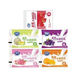 银桥酸甜葡萄草莓白桃香橙水果口味牛奶饮品好喝含乳饮料