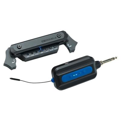 大树音乐屋DOUBLE拾音