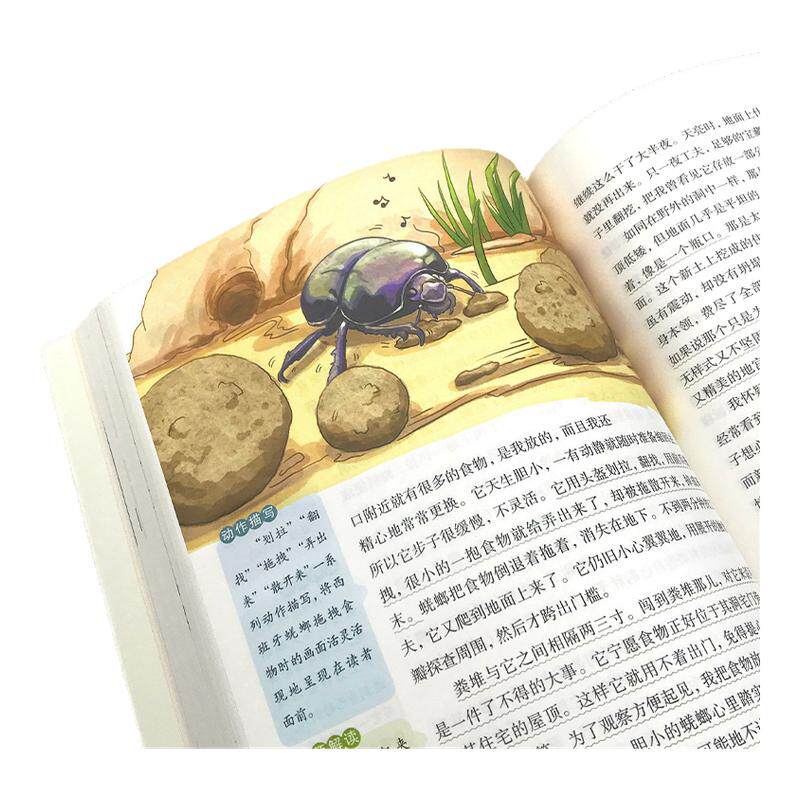 任选 昆虫记西游记繁星春水假如给我三天光明爱的教育小英雄雨来童年 大语文阅读彩图旁批旁注学生版 初中名著课外阅读书籍