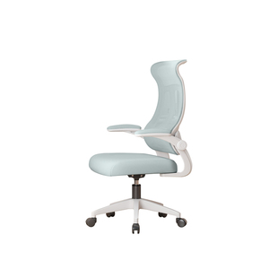 人体工学学习椅电脑椅子青少年学生专用写字可升降座椅宿舍书桌椅