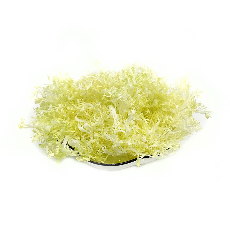 新鲜黄心苦叶 黄心苦菊生菜 狗牙生菜 黄九芽沙拉蔬菜250g