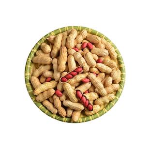 2025年新货新红皮生花生带壳新鲜晒干原味花生铁锅炒货农家花生米