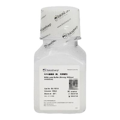 Biosharp/白鲨 BL1321A RIPA裂解液（强 无抑制剂）