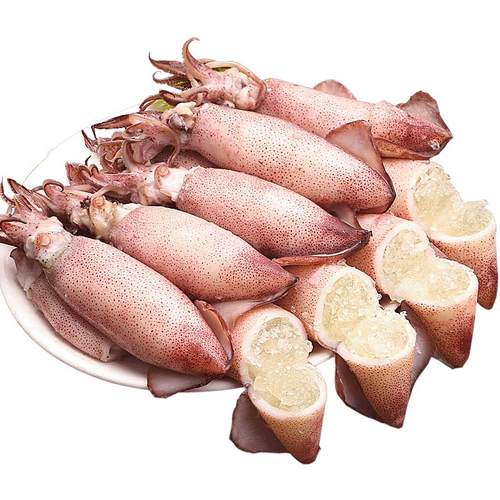 冷冻墨鱼/冷冻墨鱼仔
