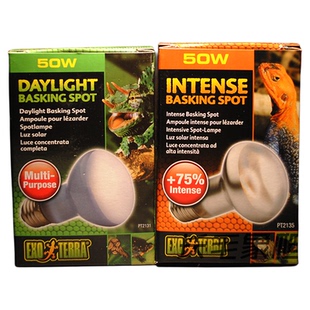 希瑾陆龟水龟爬虫UVA日灯加热灯夜灯西谨日光灯蜥蜴加温晒背灯泡