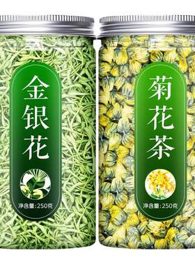 菊花茶金银去火清热解毒