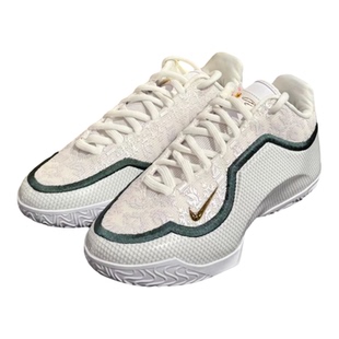 Nike/耐克Lebron 23EP男款舒适耐磨抓地回弹厚底篮球鞋IB9563-101