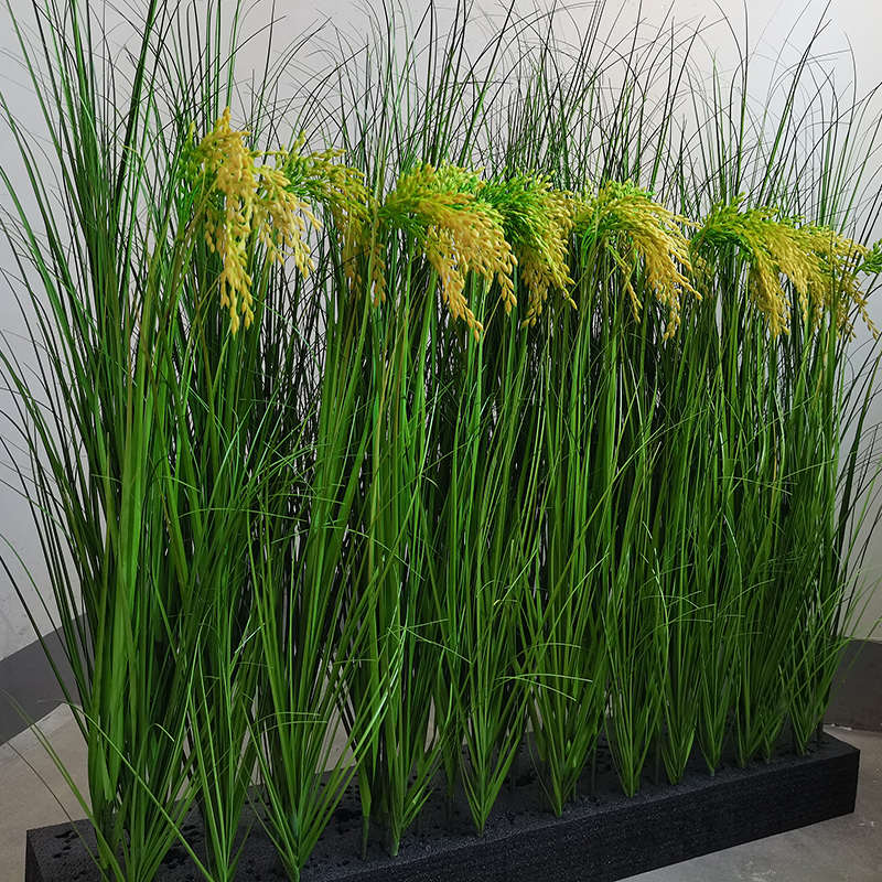 禾下乘凉梦假稻田麦穗  舞蹈稻穗水稻麦穗 道具  稻田里的中国梦