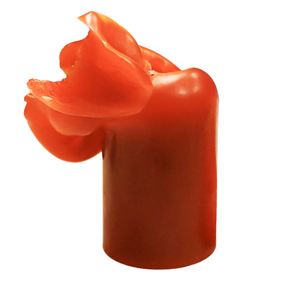 BACKYARD会开花的蜡烛伴手礼