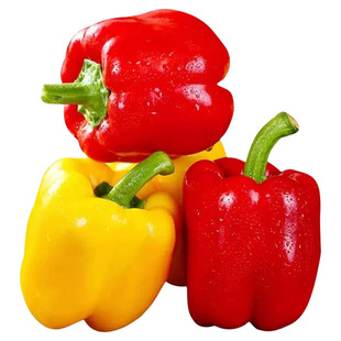 辣椒水果椒甜椒山东直发红黄五彩椒柿子椒灯笼椒太空椒新鲜脆甜