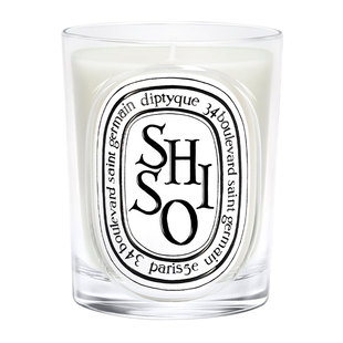 【618限时加赠】Diptyque蒂普提克香薰蜡烛70g/190g浆果玫瑰紫苏