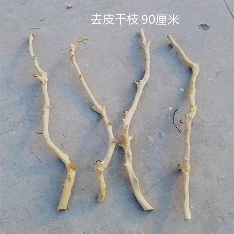 干树枝插花原木杈艺术干枝枯枝枯木树干挂件造型壁挂衣架树枝装饰