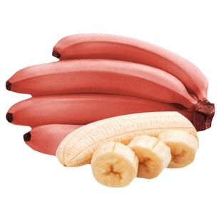 海南红皮香蕉红美人香蕉整箱新鲜现摘小米蕉芭当季水果小香蕉