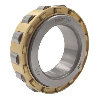 国产天马减速机圆柱轴承RN204 205 206 219 222 228 307 309 312M