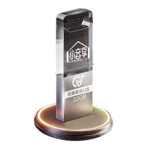 汽车载u盘歌曲2025新款热歌网红流行经典音乐无损音质车用U优盘dj