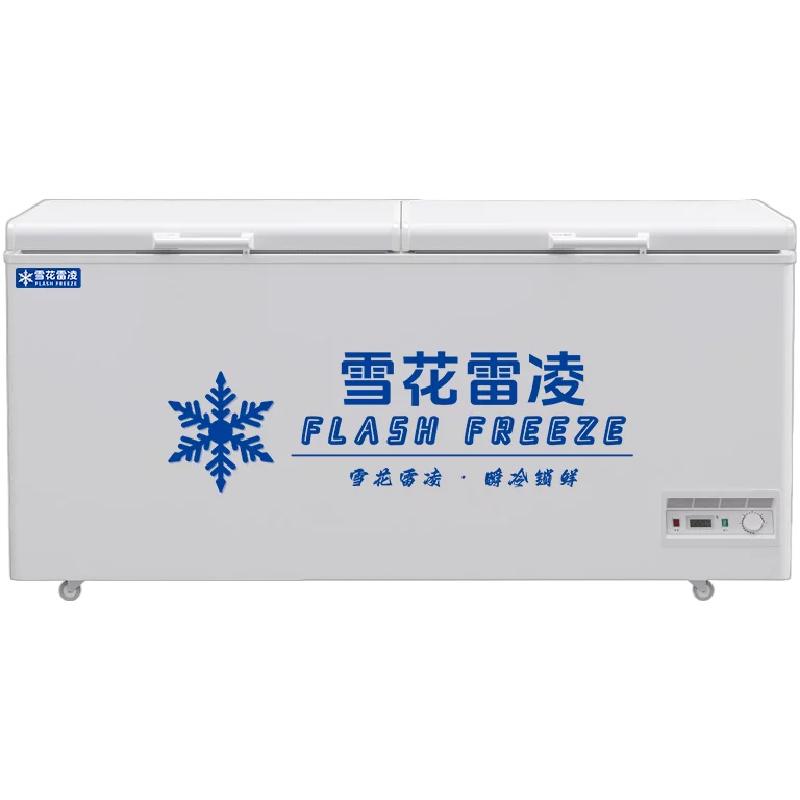 雪花家商两用卧式冰柜冷冻柜冰箱