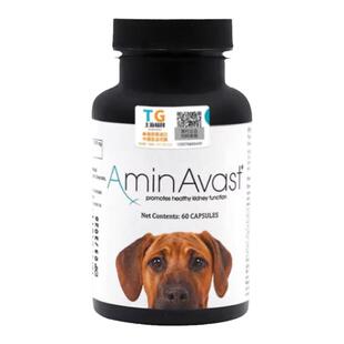 美国AminAvast安心停猫狗胺肾慢性肾衰肾脏养护降肌肝营养补充剂