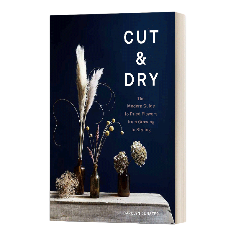 英文原版 Cut & Dry 干花室内装饰艺术 英文版 进口英语原版书籍