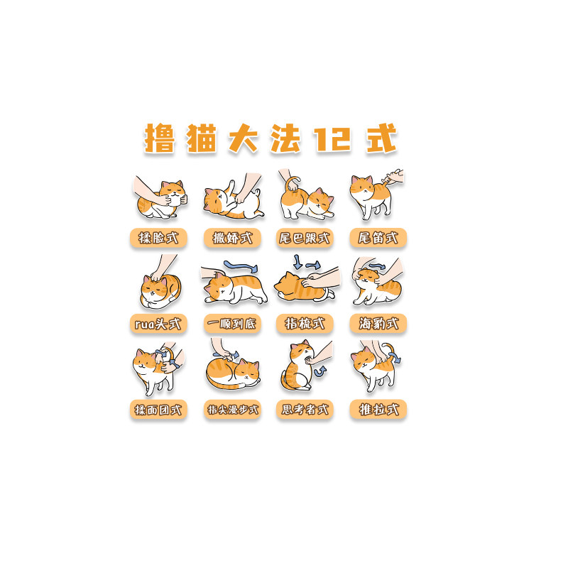 网红打卡撸猫咪说明书馆咖贴纸氛围布置形象部位墙面宠物店装饰图