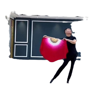 舞蹈扇子五星红旗高先玉同款广场跳舞真丝中国风扇子跳舞专用道具