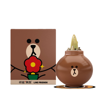 布朗熊朱顶红腊球LINEFRIENDS