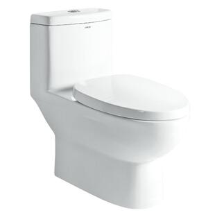 箭牌家用马桶250坑距特殊地下室虹吸防臭大口径普通坐便器AB1116