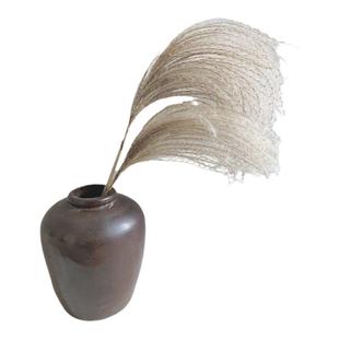 天然芦苇干花永生花束橱窗装饰摆件芦苇花拂尘花麦穗干花婚庆道具