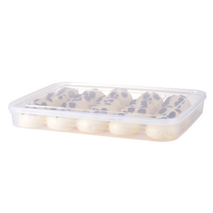 家用独立盖防粘连速冻饺子盒冰箱馄饨盒食品收纳盒多层托盘透明