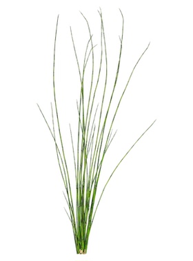 仿真木贼细竹禅意盆栽假绿植插花