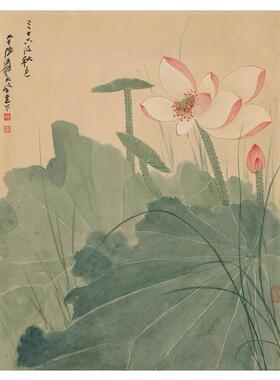 张大千荷花图斗方画国画