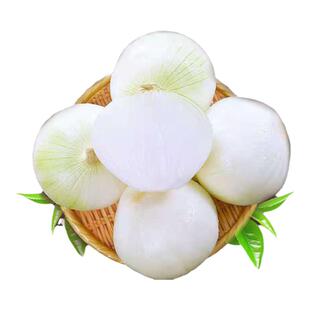 新疆特产白皮牙子白洋葱可以生吃生吃甜辣的水果洋葱蔬菜皮芽子