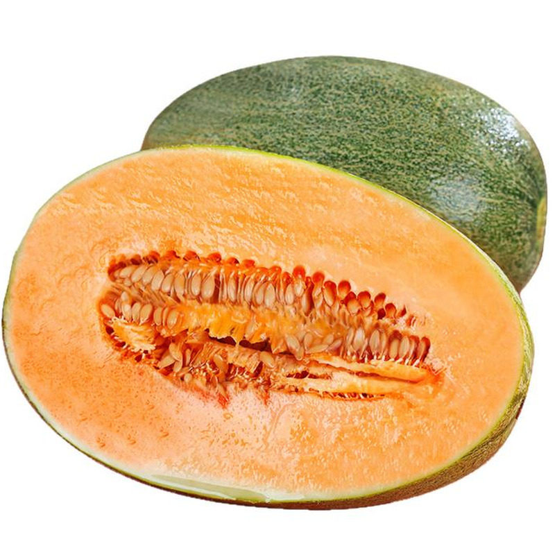 山东哈密瓜西州蜜甜瓜脆甜多汁新鲜水果薄皮肉厚整件包邮生鲜蜜瓜