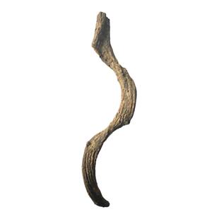 CM爬箱造景树藤雨林缸造景藤条藤蔓大小号迷你过江龙缠绕藤