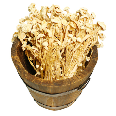 新鲜剪根金针菇干货土特产蘑菇