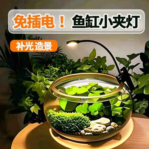 古法鱼缸灯养鱼专用灯圆形补光灯乌龟灯微景观灯草缸增艳彩灯小型