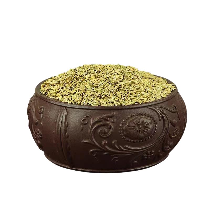 草坪草籽种子四季常青免修剪狗牙根护坡固土绿化草皮高羊茅黑麦草