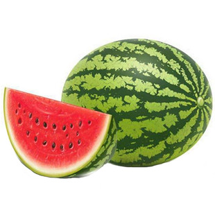 冰糖麒麟西瓜种子孑籽超甜大薄皮麒麟瓜高产籽种苗秧春季8424秧苗