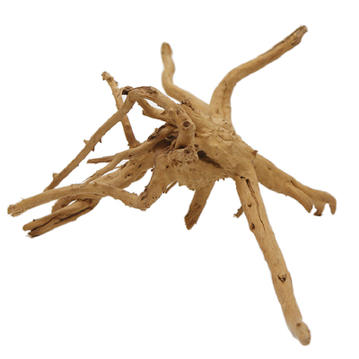 杜鹃根造景寄居蟹攀爬躲避