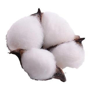 天然木棉花头干花花束装饰材料拍照道具花盒配件 DIY手工花环材料