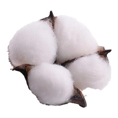 diy天然木材料拍照道具配件干花