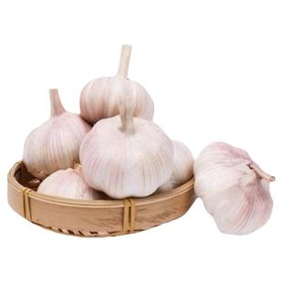 农家自种大蒜头紫白皮超大果新干蒜当季新鲜晾晒大蒜瓣