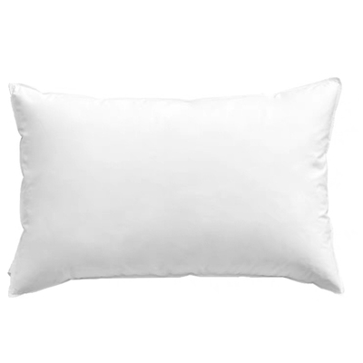 鹅毛羽绒抱枕芯羽毛抱枕枕芯睡枕靠垫坐垫一体