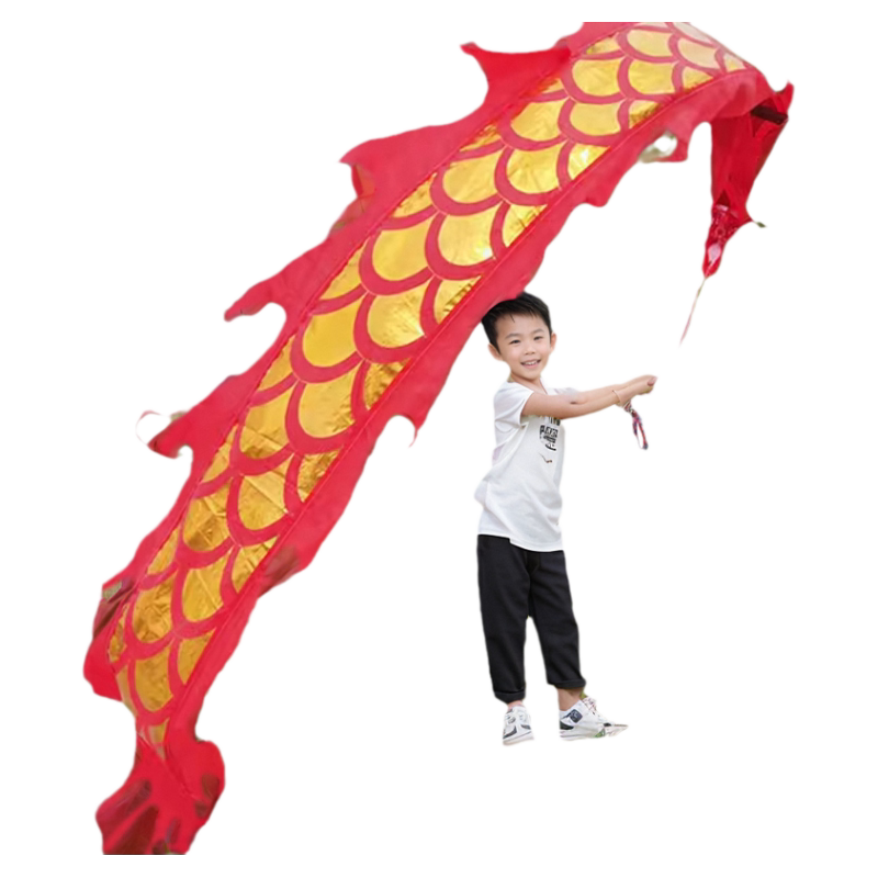 舞龙彩带健身新款儿童手甩龙飘带广场舞甩甩龙中国龙龙头表演道具