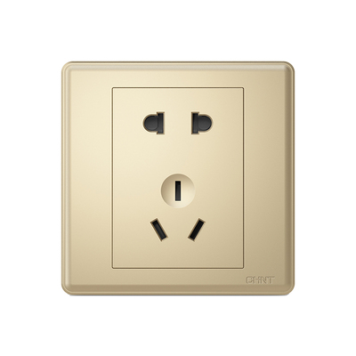 10a一开单控正泰金色11年