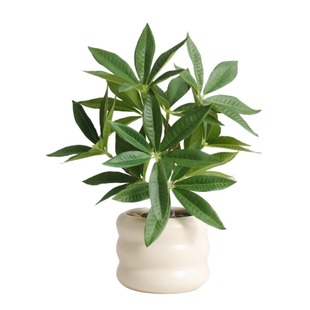 ins风假绿植龟背竹客厅盆景室内装饰桌面假花仿真植物小盆栽摆件