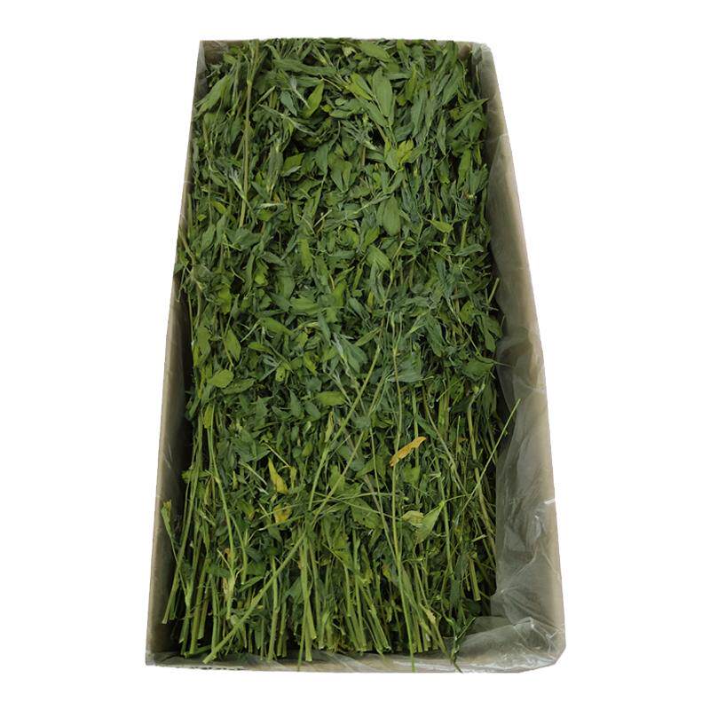 兔兔干草幼年主草营养美味苜蓿草