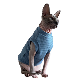 司芬克斯猫矮脚无毛猫衣服德文猫背心纯棉幼崽猫衣服无袖防掉毛夏